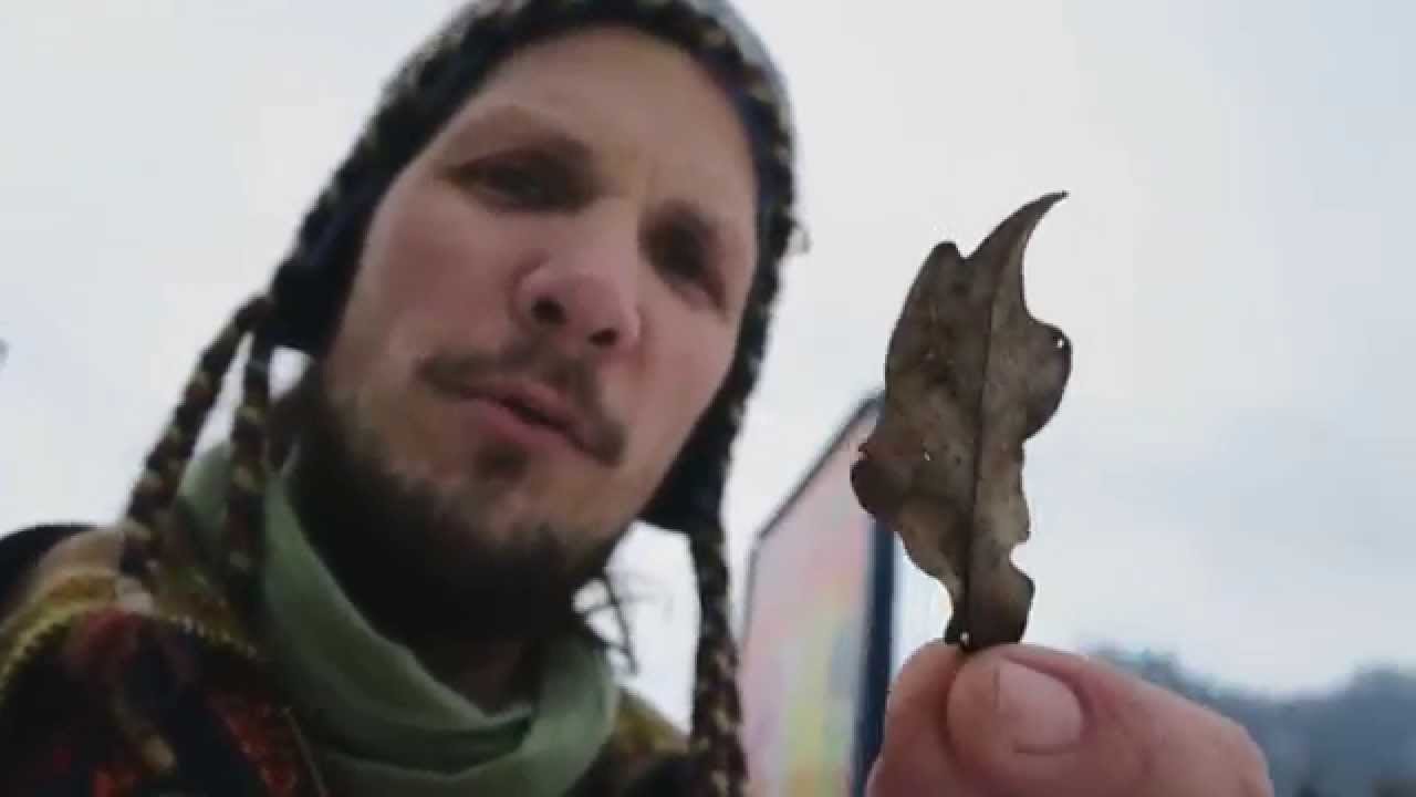 How to throw a leaf - TUTORIAL - practical learning